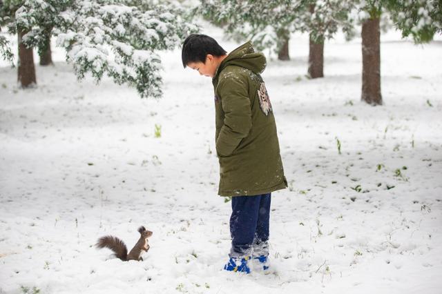 11月哪里下雪，11月份下雪的地方（立冬各地迎来降雪天气）