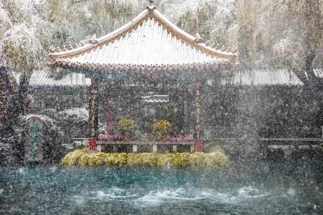 11月哪里下雪，11月份下雪的地方（立冬各地迎来降雪天气）