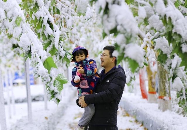 11月哪里下雪，11月份下雪的地方（立冬各地迎来降雪天气）