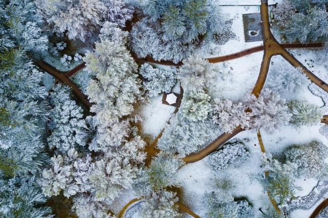 11月哪里下雪，11月份下雪的地方（立冬各地迎来降雪天气）