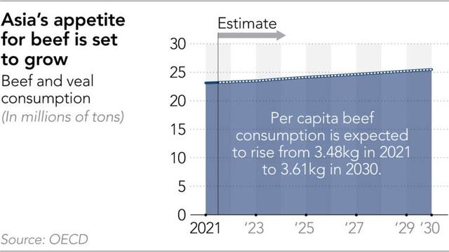 日本和牛多少钱一斤，一头成年肉牛能卖多少钱（进口牛肉价格“坐上火箭”日本超市和餐厅叫苦不迭）