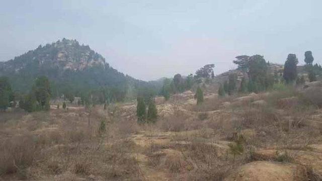 泰山传说故事作文，爬泰山的故事作文（青未了，小泰山的传说）