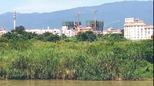 周公解梦梦见给别人做饭，周公解梦梦见给别人做饭好不好（缅北“追梦者”：手指被打断）