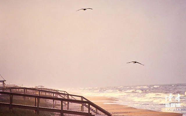 唯美句子摘抄大全，小说唯美句子摘抄大全（12个极唯美的句子）