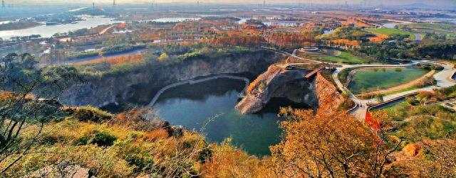 冬天，来辰山植物园这么玩