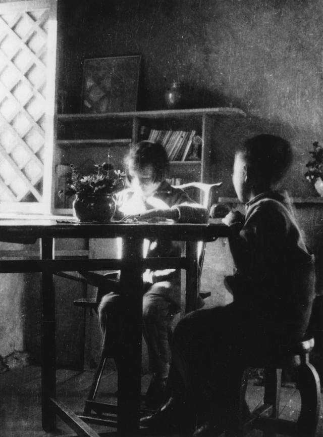 梁思成子女，梁思成子女打官司（是她全力以赴为我们全家做了这一切）