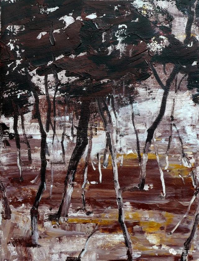 白帝城位于什么地方，白帝城位于什么地方重庆（白蒂丨2021风景作品欣赏）