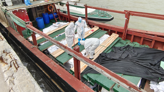 8千克等于多少吨，80千克等于多少吨（这种食材很多人都爱吃）