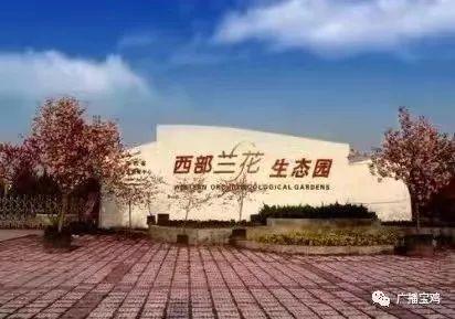 金台区景点，黄金台旅游景点（宝鸡景区开放信息汇总）