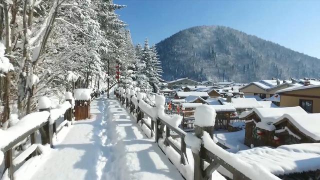 什么的蘑菇，什么的蘑菇填合适词语（如梦境一般的“童话雪乡”）