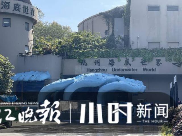 杭州有海底世界吗，杭州海底世界动物搬迁正在进行（杭州有海底世界么）