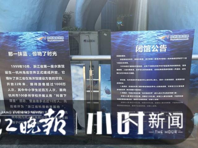 杭州有海底世界吗，杭州海底世界动物搬迁正在进行（杭州有海底世界么）