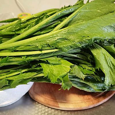 怎样做梅干菜，哪种菜做梅干菜最好（会做这些梅干菜<雪里红>）