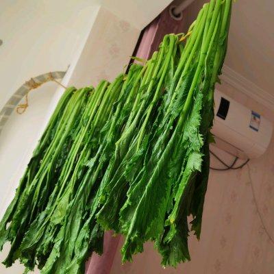 怎样做梅干菜，哪种菜做梅干菜最好（会做这些梅干菜<雪里红>）