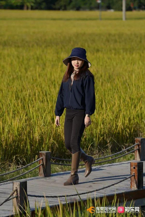 十里飘香的上一句，“十里飘香”（风吹稻浪，十里飘香）