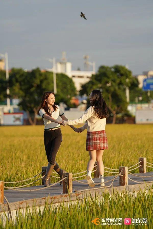 十里飘香的上一句，“十里飘香”（风吹稻浪，十里飘香）