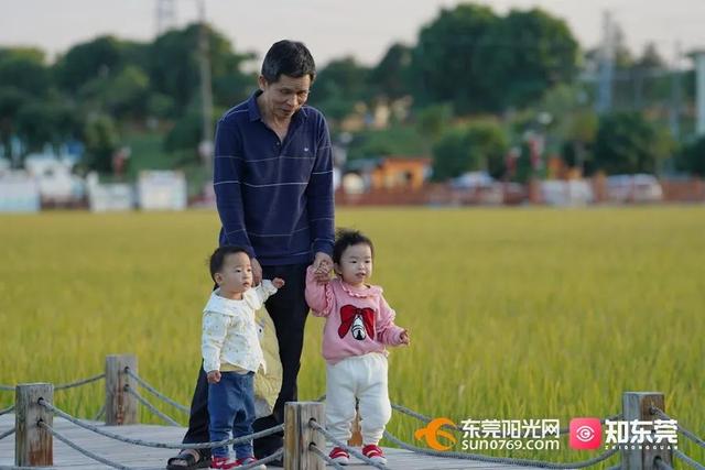 十里飘香的上一句，“十里飘香”（风吹稻浪，十里飘香）