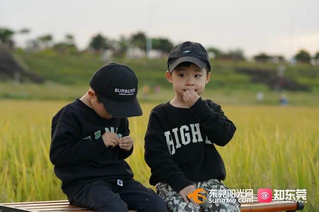 十里飘香的上一句，“十里飘香”（风吹稻浪，十里飘香）