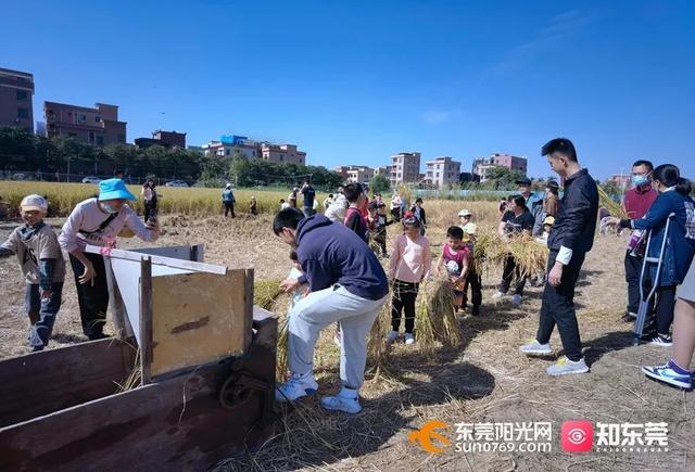 十里飘香的上一句，“十里飘香”（风吹稻浪，十里飘香）
