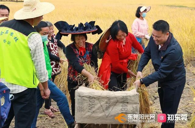 十里飘香的上一句，“十里飘香”（风吹稻浪，十里飘香）