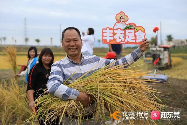 十里飘香的上一句，“十里飘香”（风吹稻浪，十里飘香）