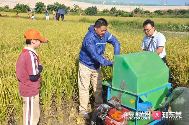 十里飘香的上一句，“十里飘香”（风吹稻浪，十里飘香）