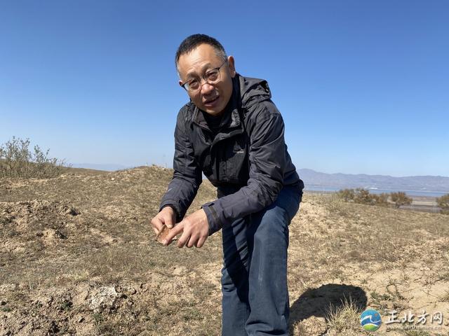 内蒙古凉城岱海旅游指南，凉城岱海一日游（7000年前的先民从何处来）