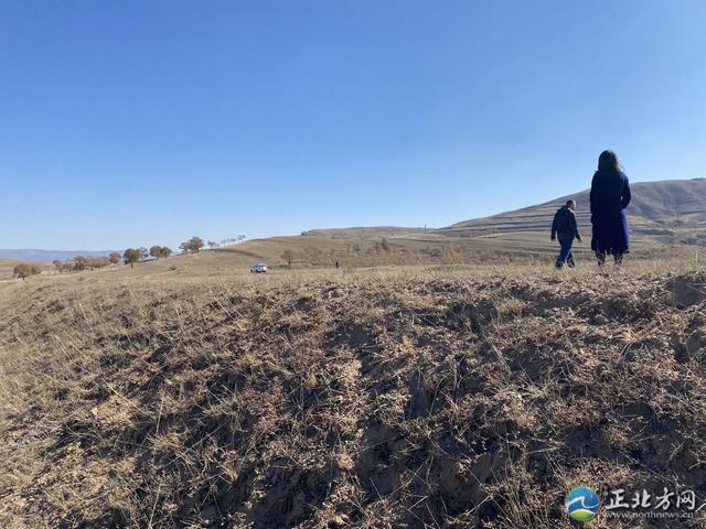内蒙古凉城岱海旅游指南，凉城岱海一日游（7000年前的先民从何处来）