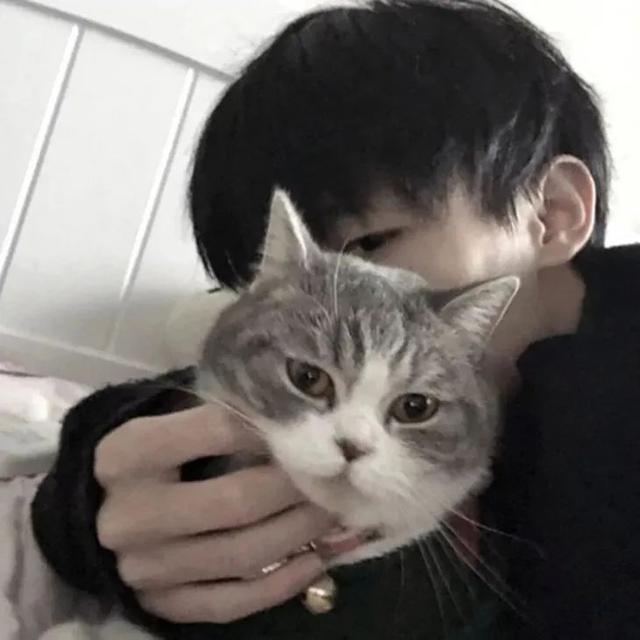 来一批小奶狗专属头像呐微信，来一批小奶狗专属头像呐（是谁的前男友又中招了）