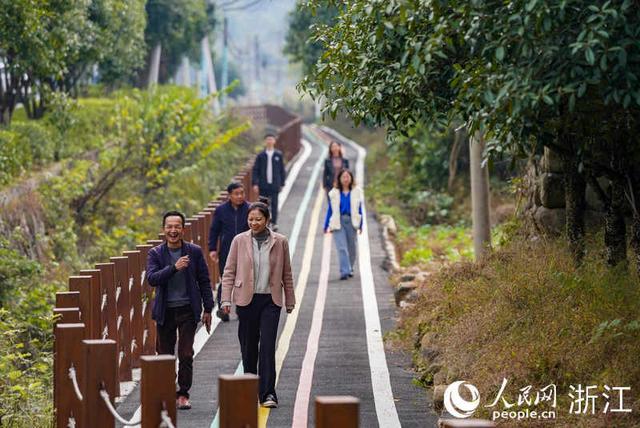 求购桂花树，求购桂花树50公分（自有秋香三万斛）
