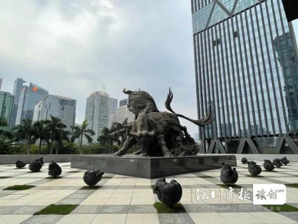 第一组 侧面对比照片下面来一组小熊被拆之前,以及被拆之后的对比照片