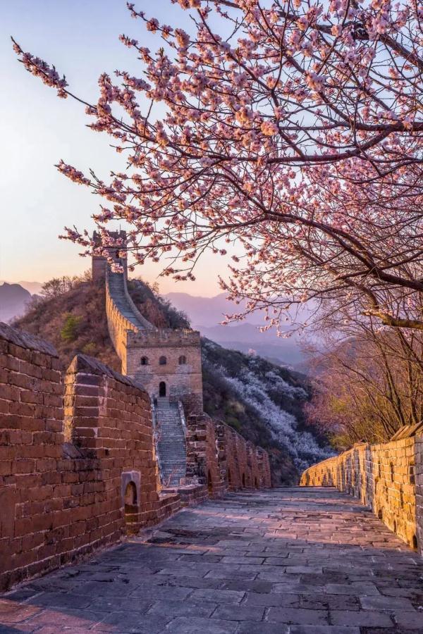 自拍风景照。居一.，如何自拍风景照（“90后”小伙拍出长城绝美四季图片）