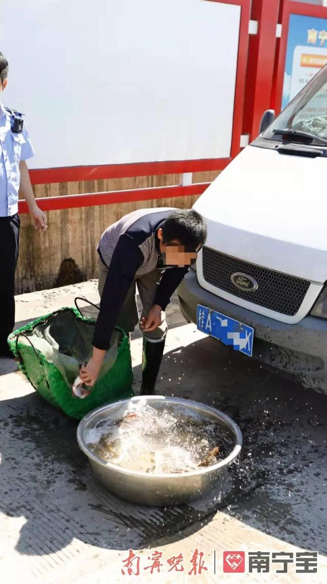 芝麻剑鱼国家二级保护动物，芝麻剑鱼是二级保护动物吗（男子为牟利非法运输国家二级保护野生动物“芝麻剑”）