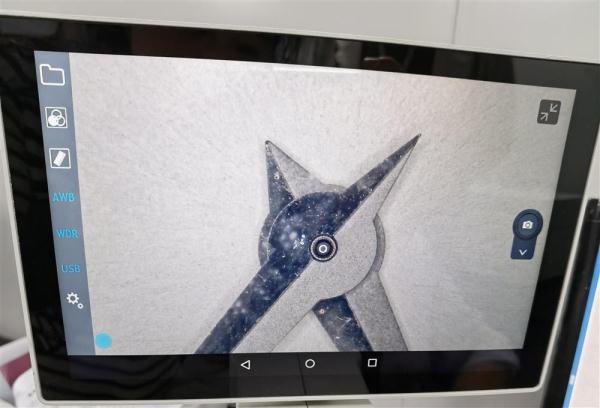 dior是什么意思，dior怎么读（揭秘真实的奢侈品鉴定行业）