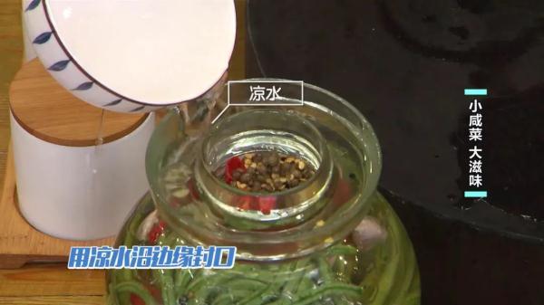橄榄菜是什么菜，橄榄菜是什么?怎样制作橄榄菜（上桌全家抢着吃）