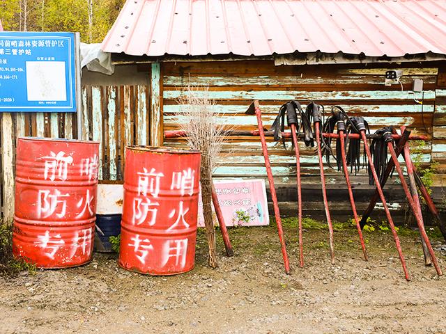 漠河舞厅的故事，漠河舞厅讲的什么故事（漠河舞厅，还有烧不尽的往事）
