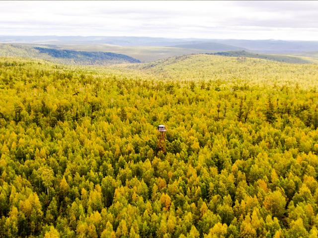 漠河舞厅的故事，漠河舞厅讲的什么故事（漠河舞厅，还有烧不尽的往事）