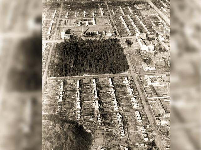 漠河舞厅的故事，漠河舞厅讲的什么故事（漠河舞厅，还有烧不尽的往事）