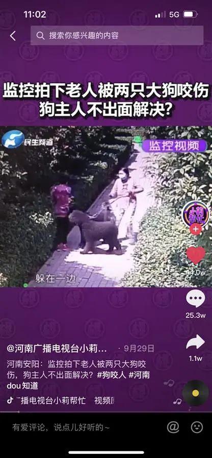 杨小莉愧疚没帮到忙忍不住落泪，杨小莉个人简介（他的名字成政府官网十大热词……）