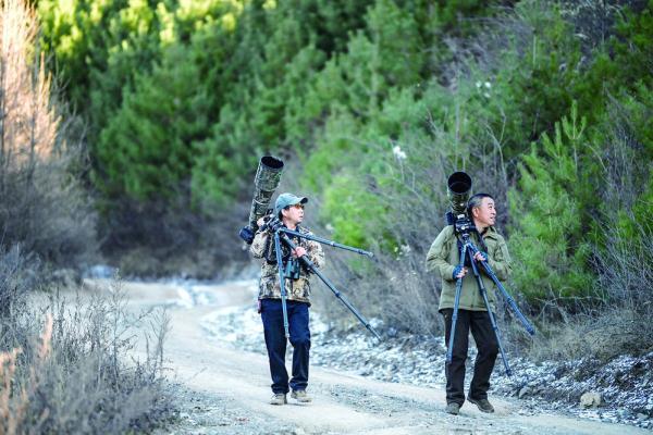 200目是什么意思，筛网200目是什么意思（六盘山这些“美到犯规”的小鸟）