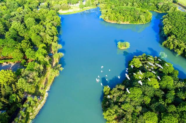 阜阳在哪个省哪个市，阜阳是哪个省市哪个县（180分钟！发现阜阳之美）