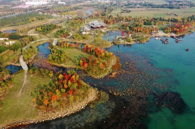 阜阳在哪个省哪个市，阜阳是哪个省市哪个县（180分钟！发现阜阳之美）