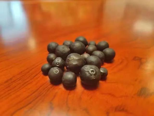 阜阳在哪个省哪个市，阜阳是哪个省市哪个县（180分钟！发现阜阳之美）