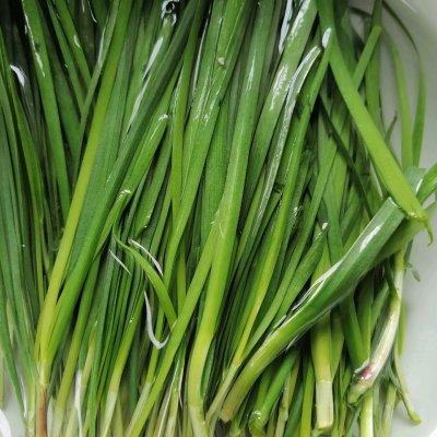 韭菜猪肉饺子方法，韭菜肉饺子的制作方法（#我心中的冬日限定#韭菜猪肉馅水饺）