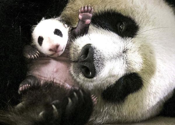 11月21日确定为世界什么日，1996年12月18日，第51届联合国大会通过决议，将首届世界电视论坛召开的日子11月21日确定为“（世界问候日，打个招呼吧）