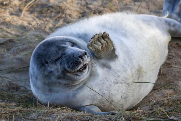 11月21日确定为世界什么日，1996年12月18日，第51届联合国大会通过决议，将首届世界电视论坛召开的日子11月21日确定为“（世界问候日，打个招呼吧）