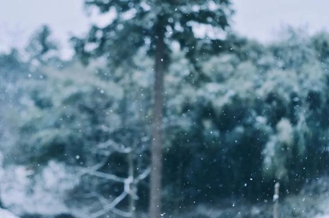 小雪是什么时候2021 二十四节气之小雪的由来与含义，小雪是什么时候2021（小雪：总有一场雪，为你而来）