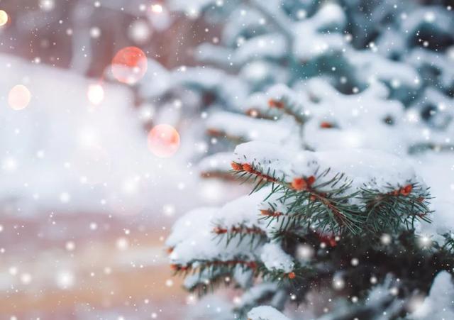 小雪是什么时候2021 二十四节气之小雪的由来与含义，小雪是什么时候2021（小雪：总有一场雪，为你而来）