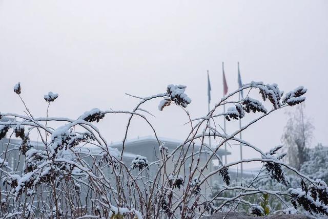 小雪是什么时候2021 二十四节气之小雪的由来与含义，小雪是什么时候2021（小雪：总有一场雪，为你而来）