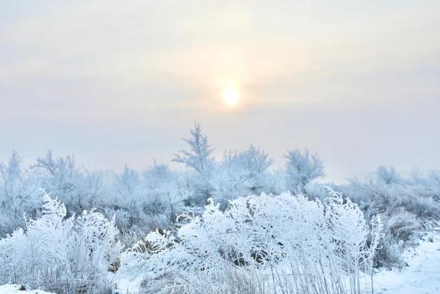 小雪是什么时候2021 二十四节气之小雪的由来与含义，小雪是什么时候2021（小雪：总有一场雪，为你而来）